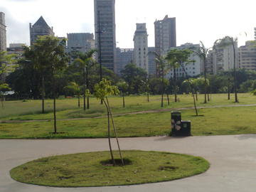 Parque do Povo in São Paulo