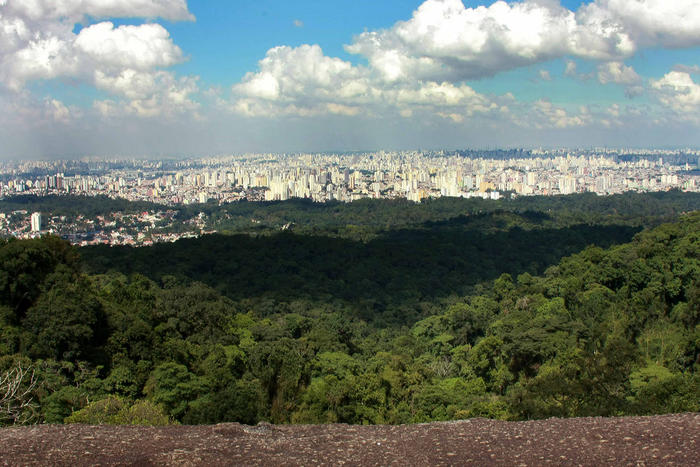 Serra da Cantareira State Park - São Paulo