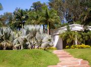 Inhotim Institute in Belo Horizonte