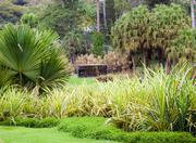 Inhotim Institute in Belo Horizonte