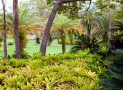 Inhotim Institute in Belo Horizonte