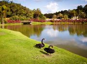 Inhotim Institute in Belo Horizonte