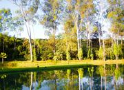 Inhotim Institute in Belo Horizonte