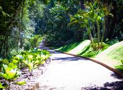 Inhotim Institute in Belo Horizonte