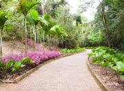 Inhotim Institute in Belo Horizonte