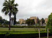 Ciencias Naturais Museum