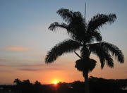 Ecológico da Pampulha Park in Belo Horizonte