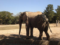 Fundacao Zoo Botanica Jardim Zoologico in Belo Horizonte