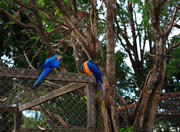 Chapada Imperial in Brasília