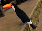 Chapada Imperial in Brasília