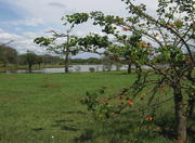 Sarah Kubitschek City Park in Brasília