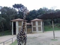 Iguaçu Park Zoo in Curitiba