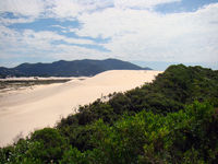 Joaquina Beach in Florianopolis